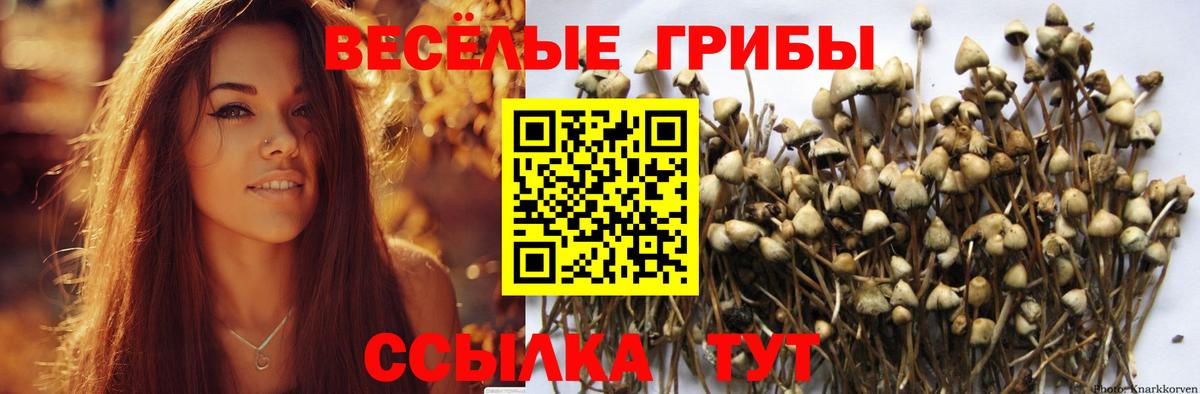 Надым  Псилоцибиновые грибы мухоморы  Галлюциногенные грибы мухоморы  Вход с VPN 