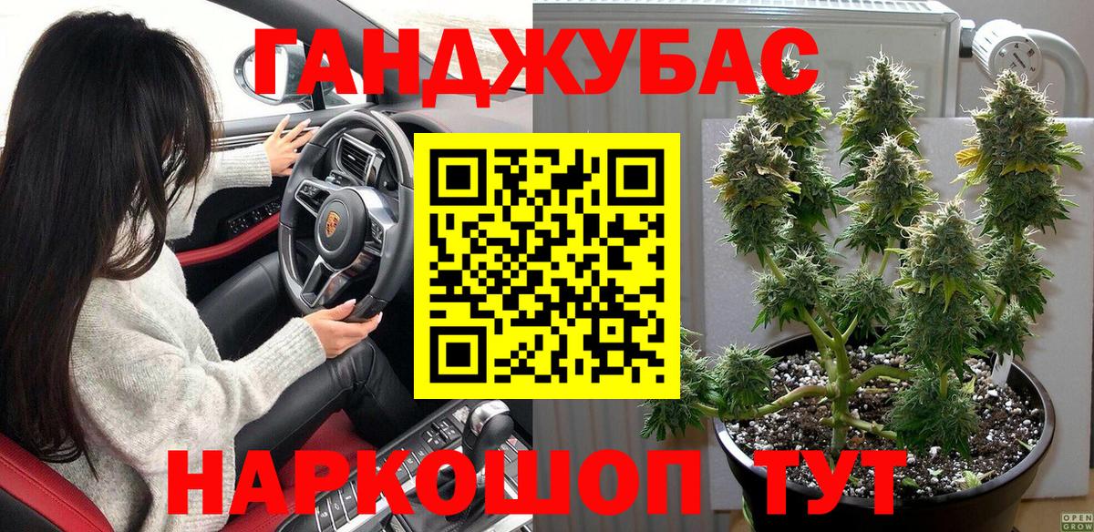 Бошки Шишки планчик Надым